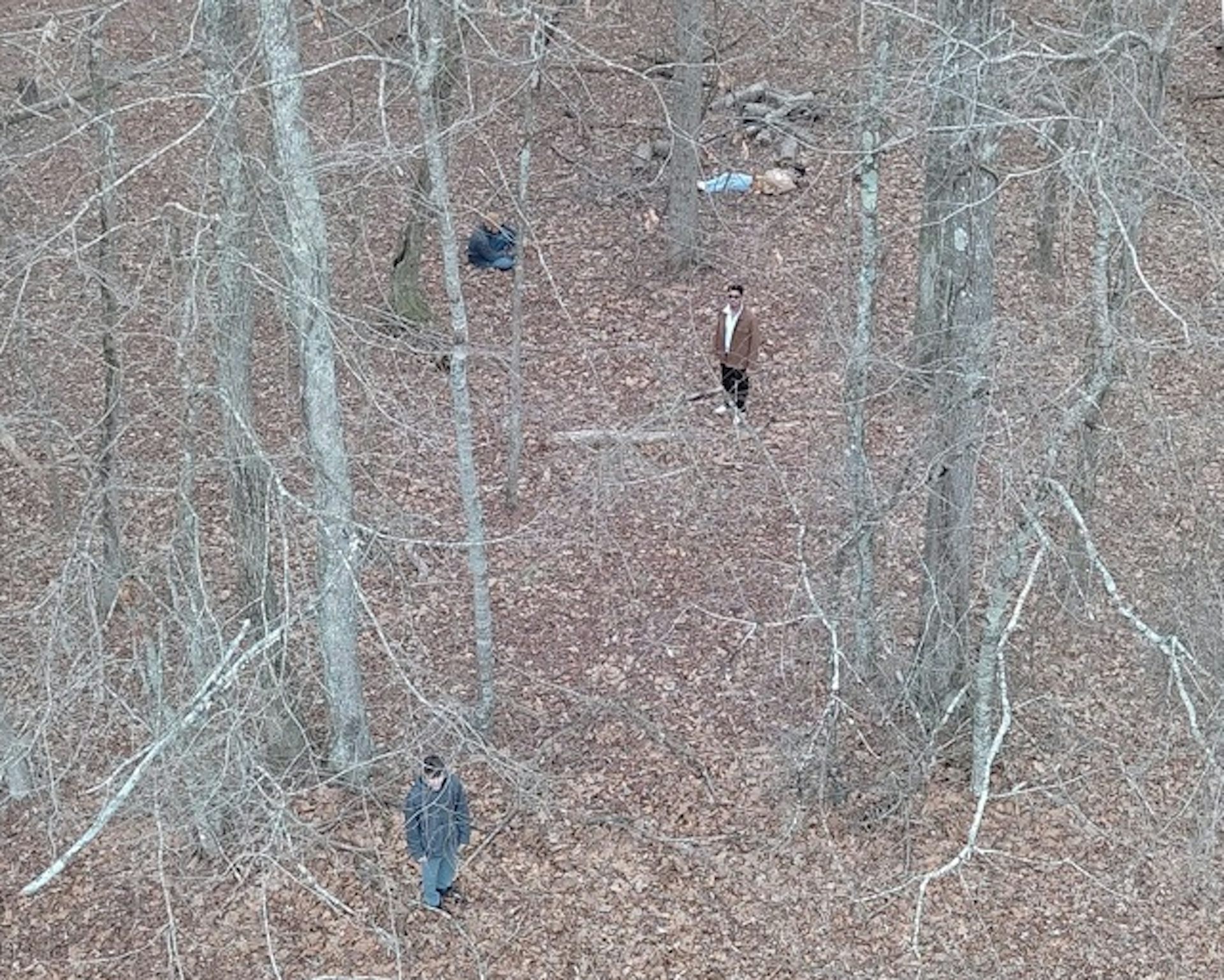 false color image of a forest