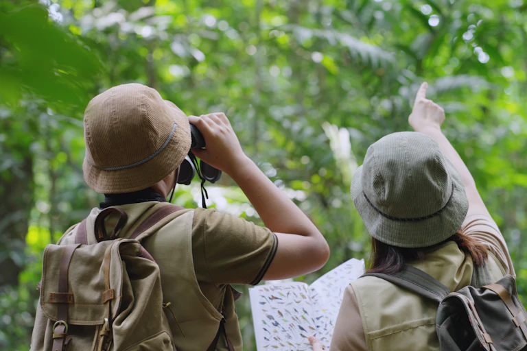 Two people looking at birds in a forest using binoculars and a guidebook.