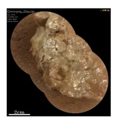 Water, biosignatures and lightning: what the Perseverance rover has taught us after 5 years on Mars 2 Close-up of Martian rock