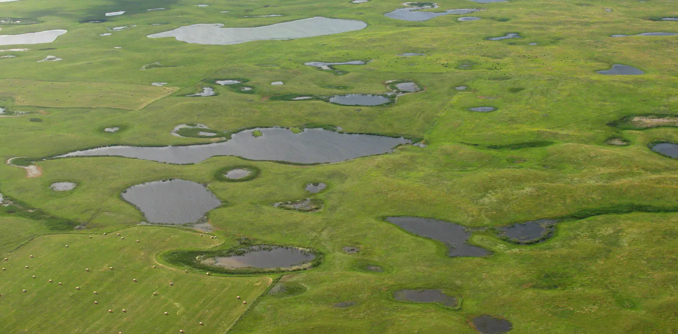 Unpredictable Water Flow in Prairie Watersheds: How AI Could Offer Solutions Unpredictable Water Flow in Prairie Watersheds: How AI Could Offer Solutions