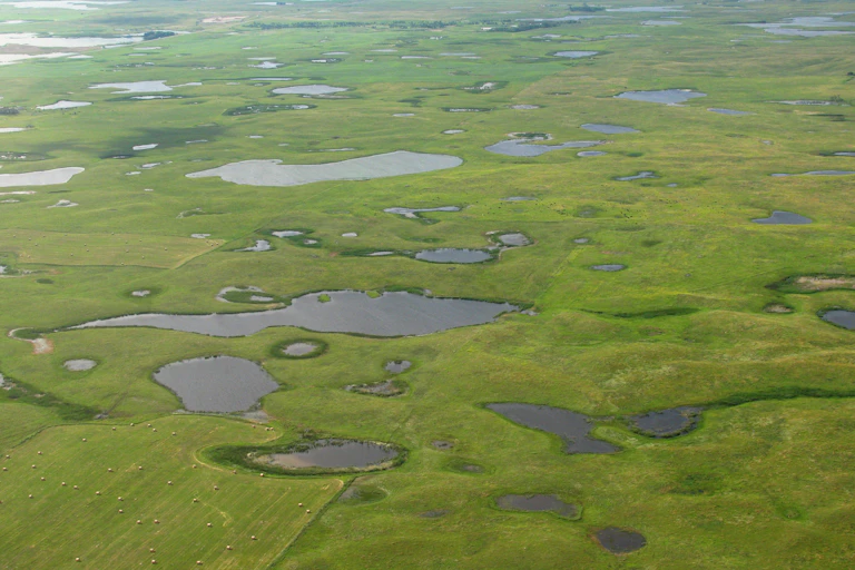 an aerial view of a green landscape with bodies of water throughout