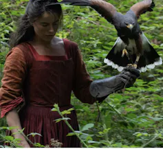 A 16th-century woman with a gloved left arm that is holding a kestrel.