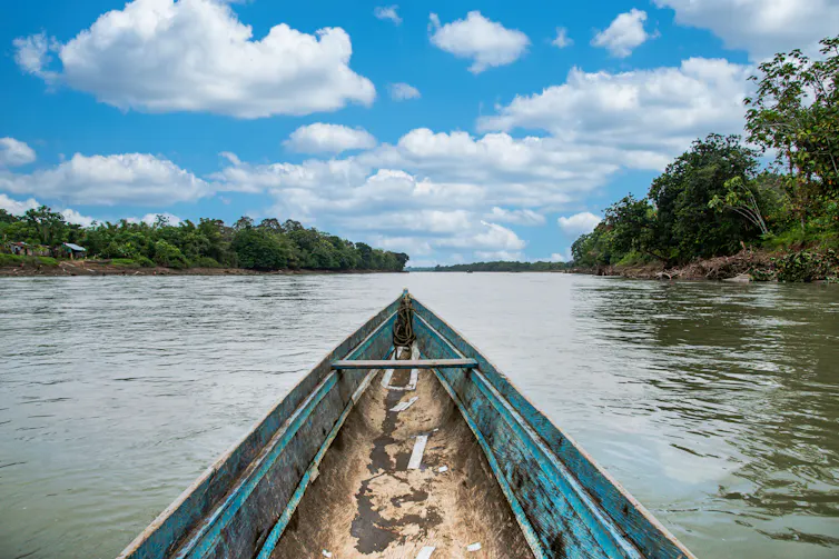 River viewed from a canoe