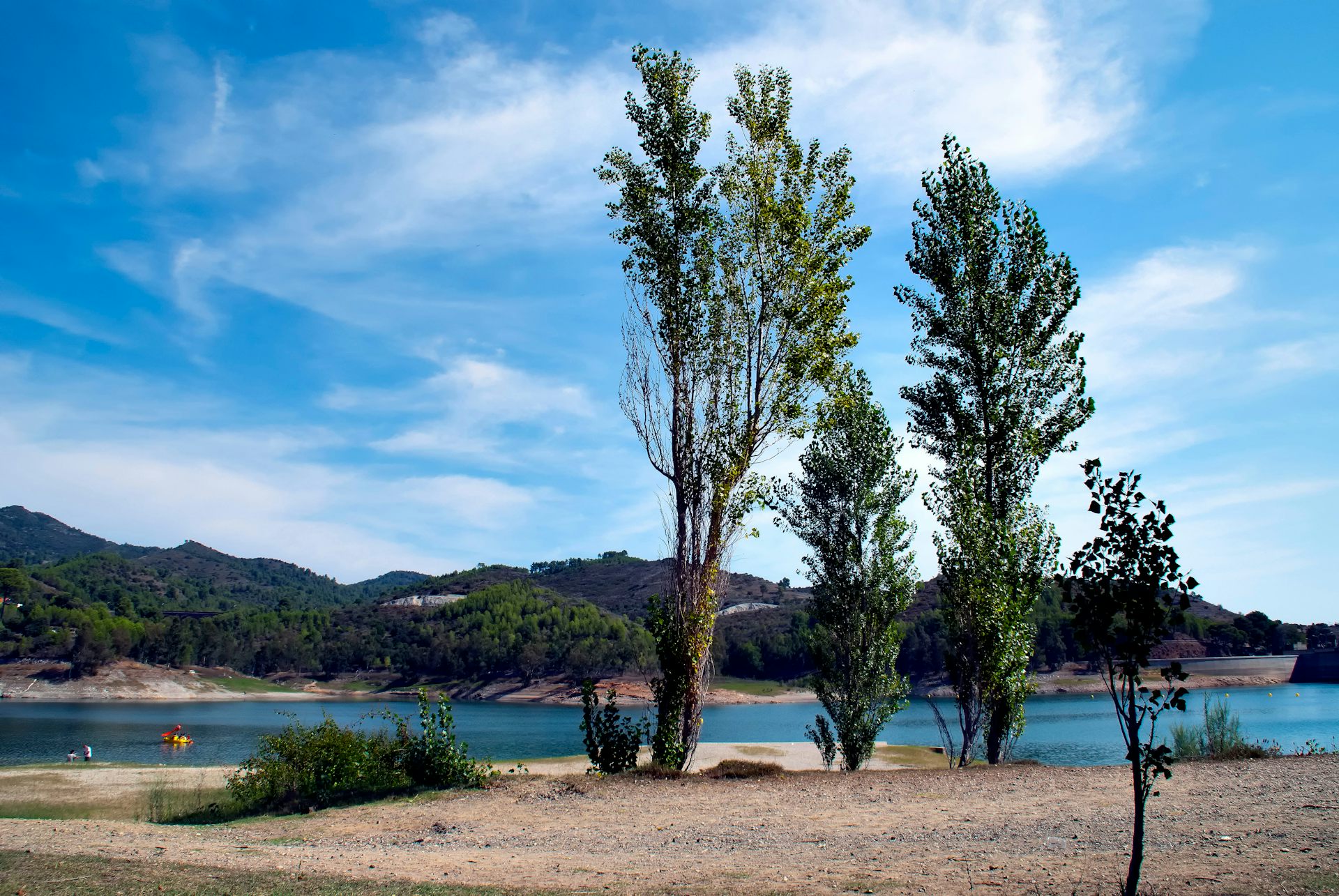 Tres arbres davant d'un llac.