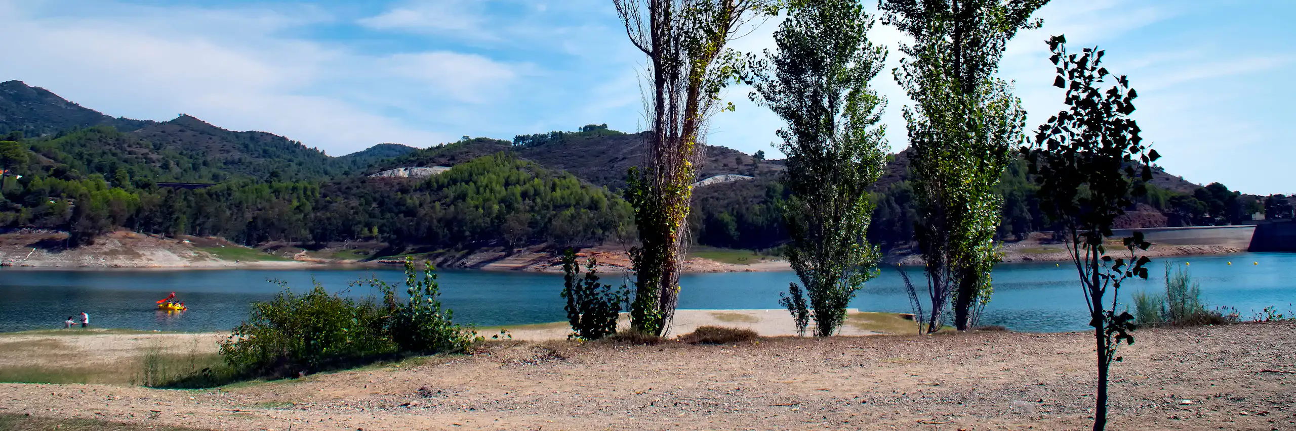 Tres arbres davant d'un llac.