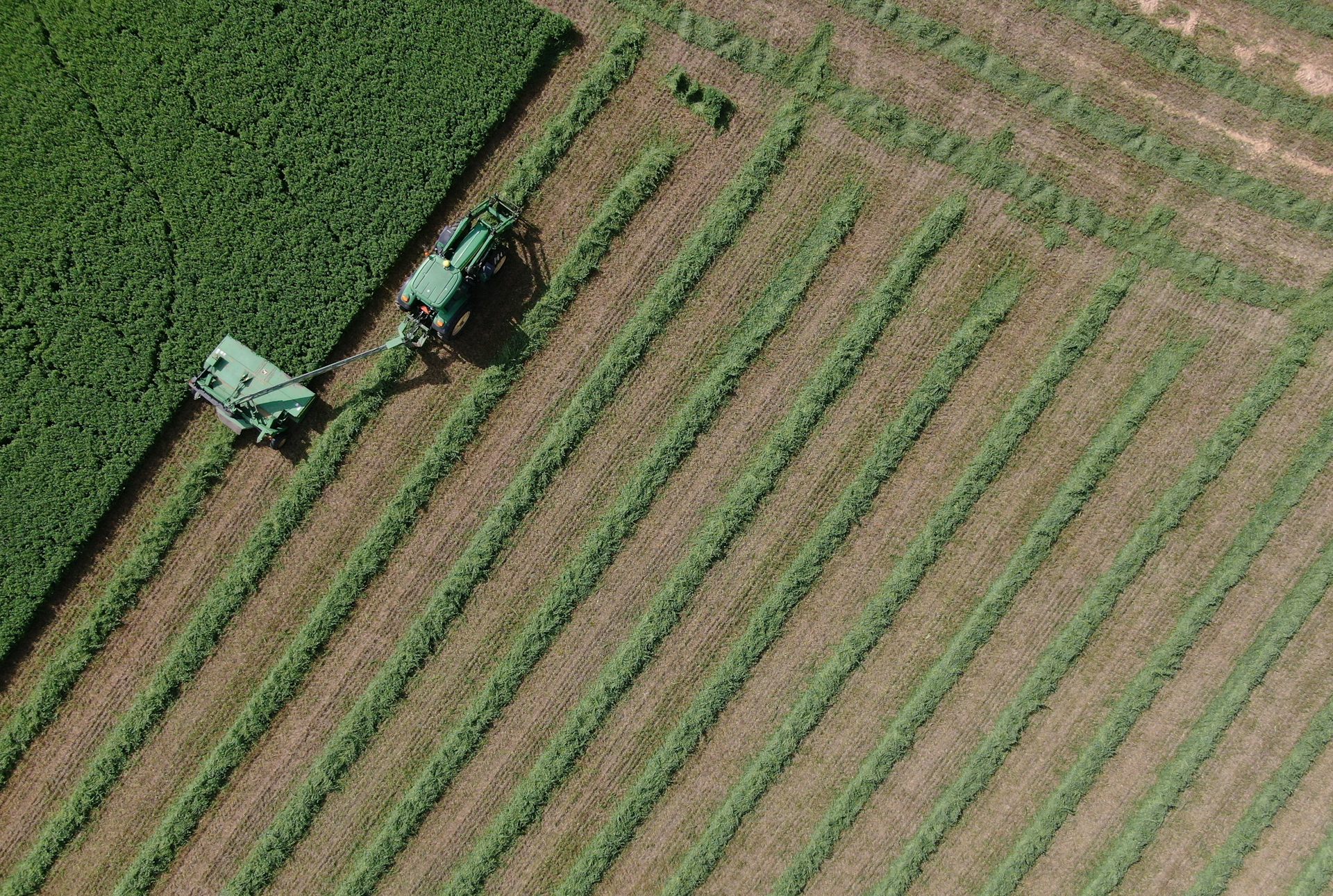 Foto aérea de un tractor cosechando cultivos en un campo agrícola verde.