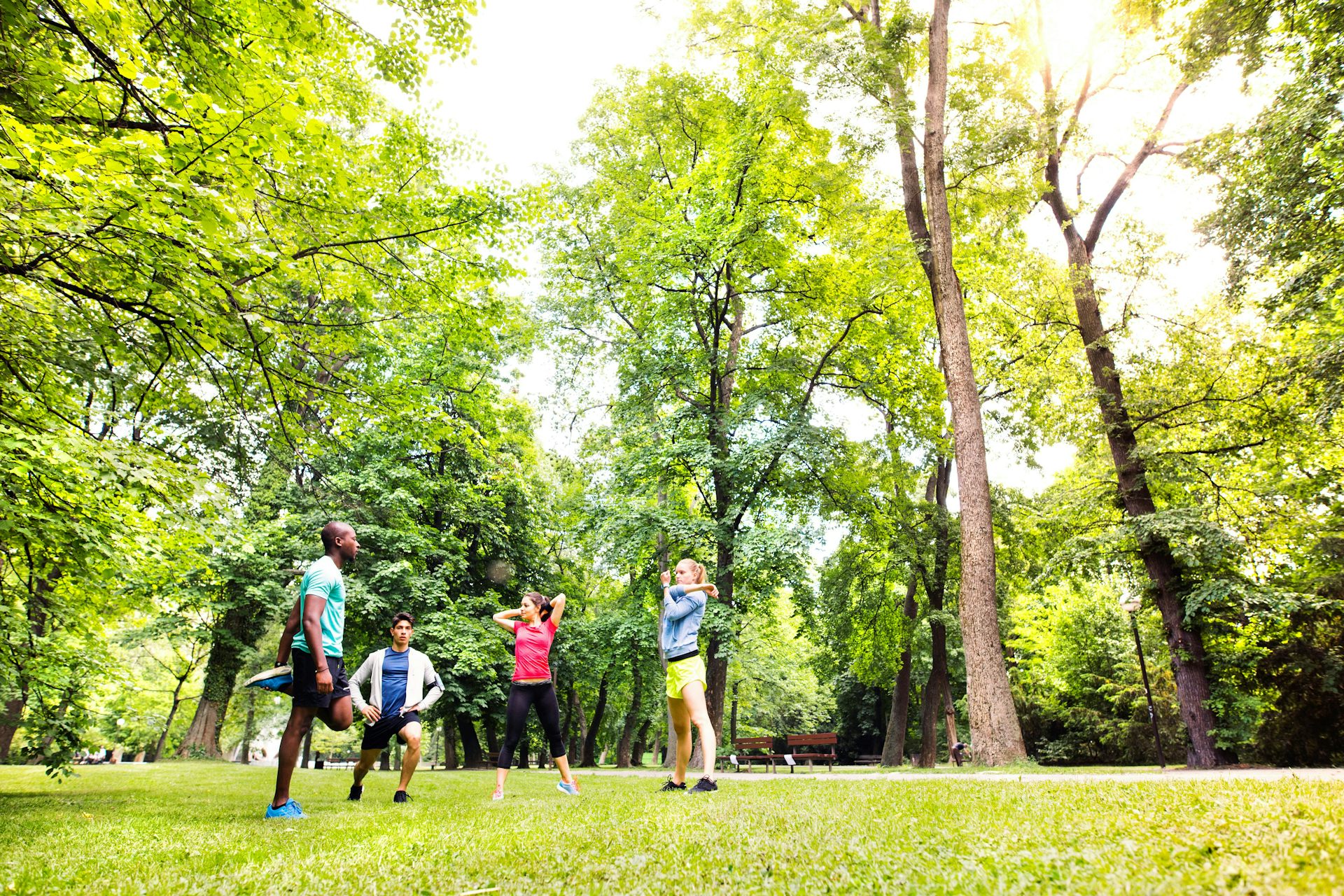 Des personnes font du sport dans le parc