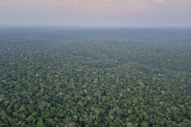 An area of rainforest in the Brazilian Amazon, taken from the Tall Tower Observatory.