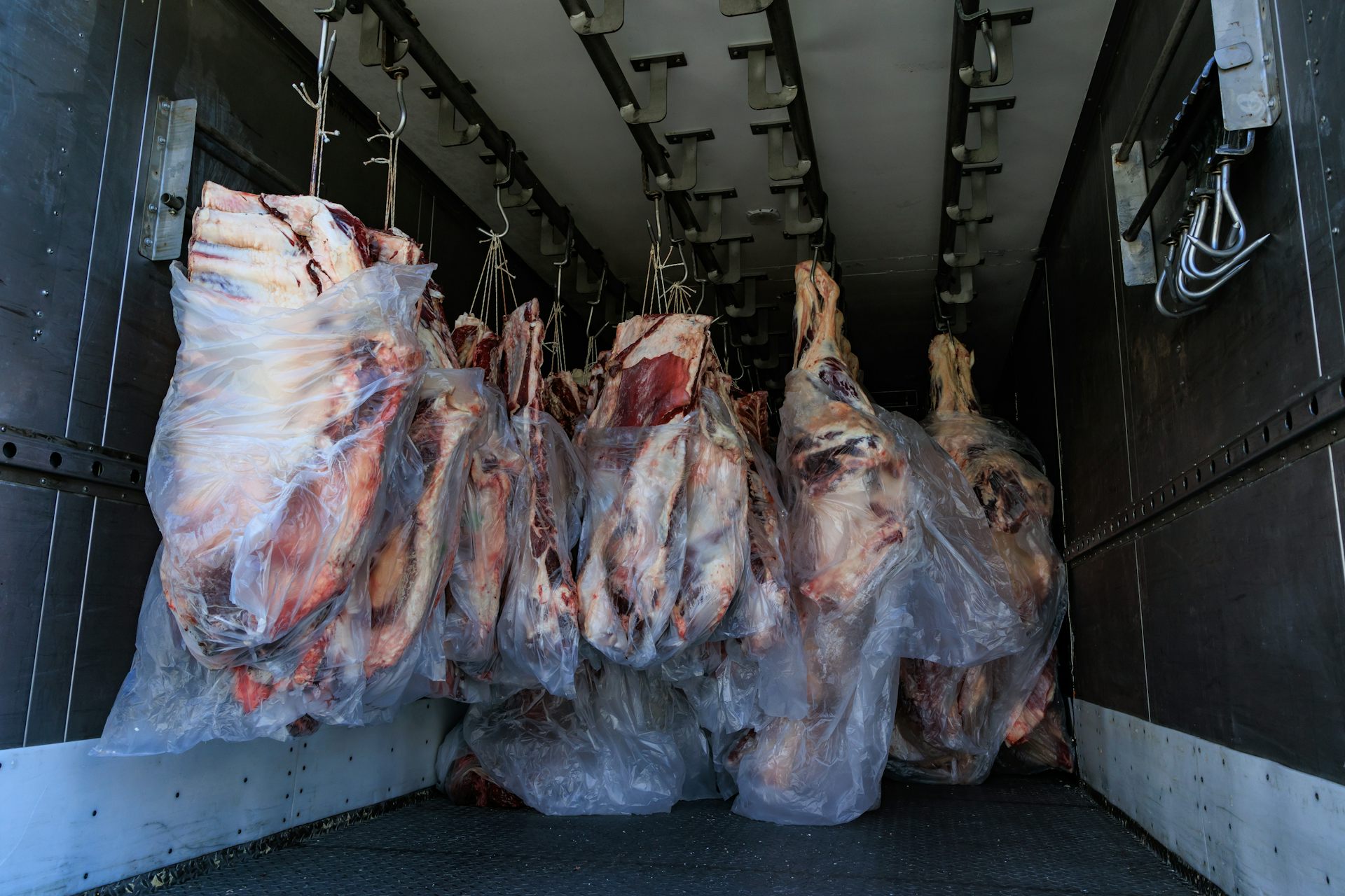 Kuota impor daging sapi hampir dimonopoli oleh BUMN