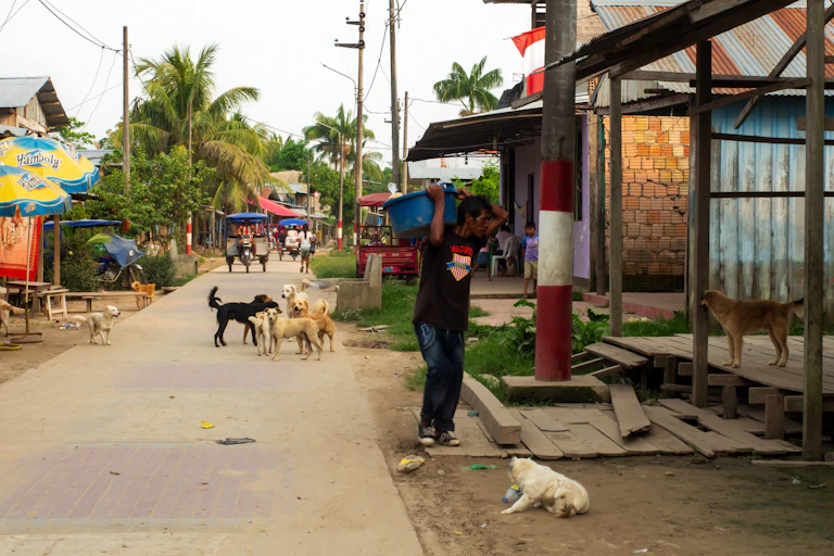 Calle de un pueblo donde se pueden ver varios perros.