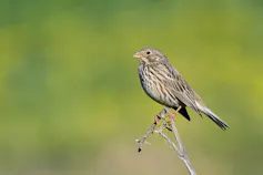 Why comparing the effectiveness of safe spaces is more challenging than it kind of feels 1 file 20260323 71 yo42x.jpg?ixlib=rb 4.1