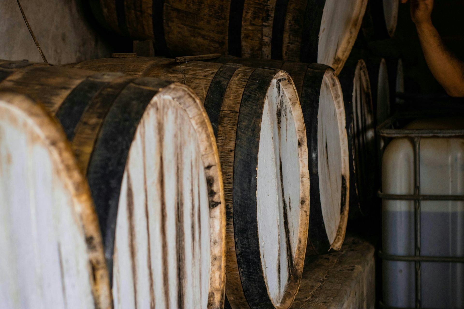 Barils de rhum