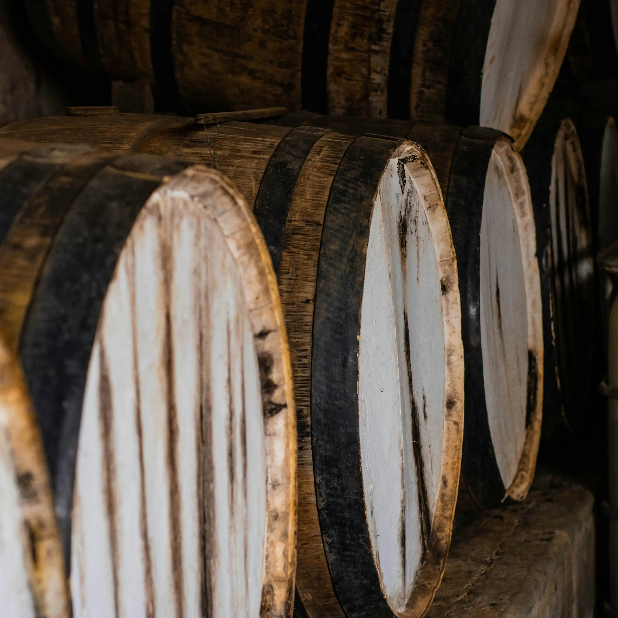 Barils de rhum