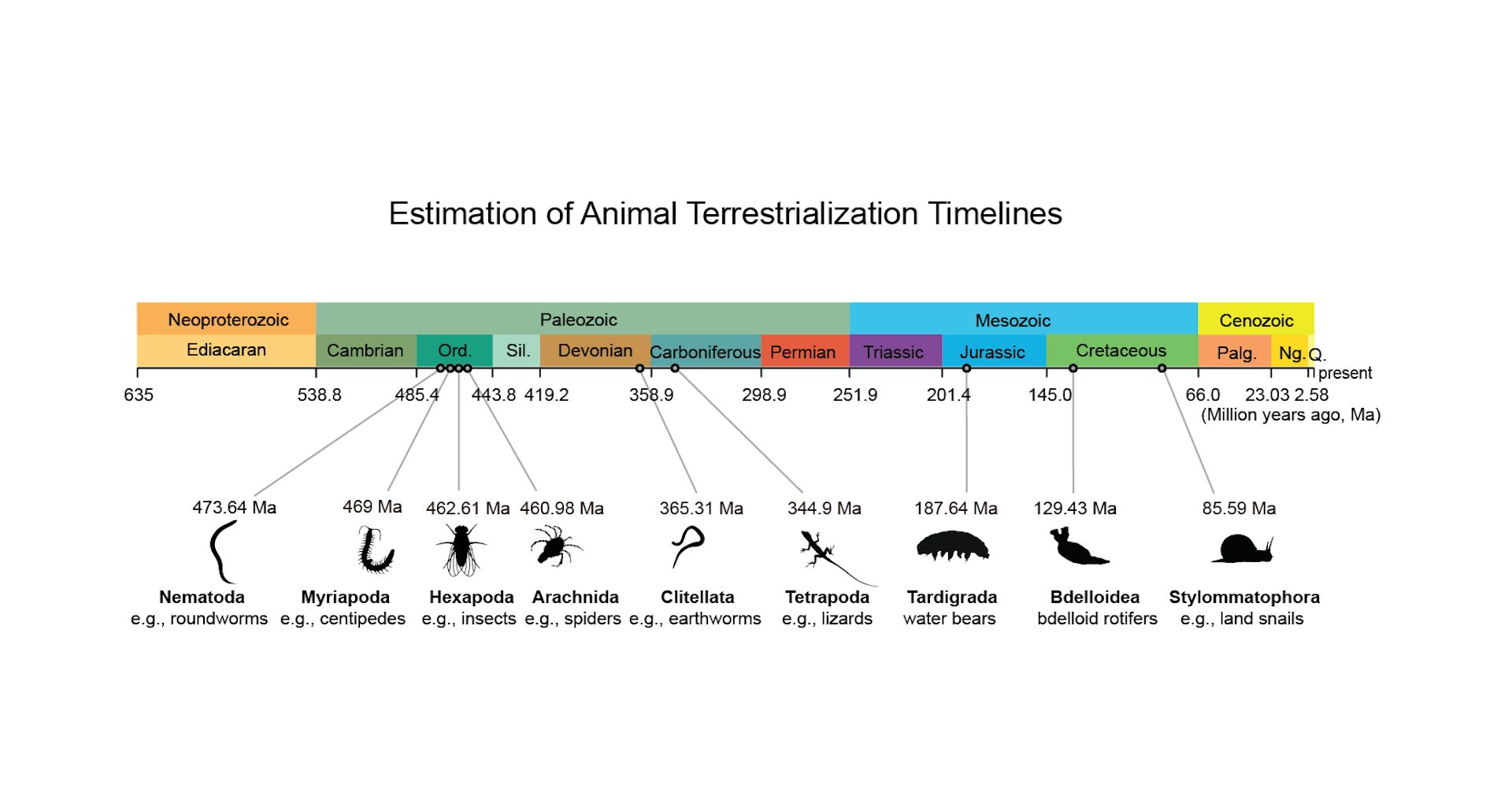 Colour coded timeline of when different animal lineages evolved a more land based lifestyle.