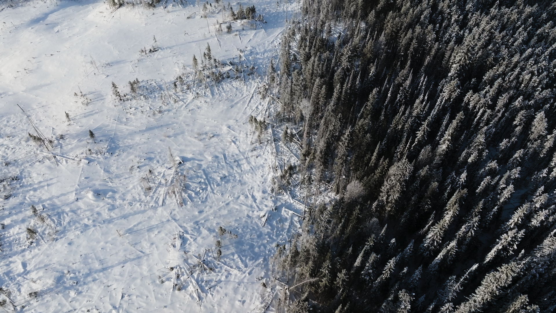 file 20260323 57 ik1l9z.png?ixlib=rb 4.1