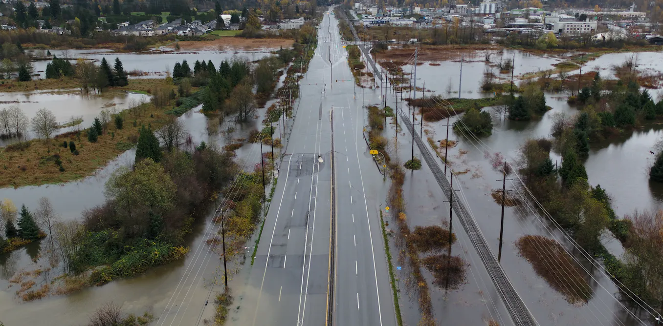 New research shows how forests can prevent floods of all sizes