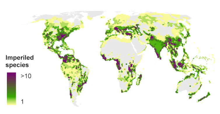 Distribución global del número de especies de peces continentales amenazadas