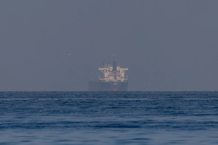 Large ship on the horizon viewed across water