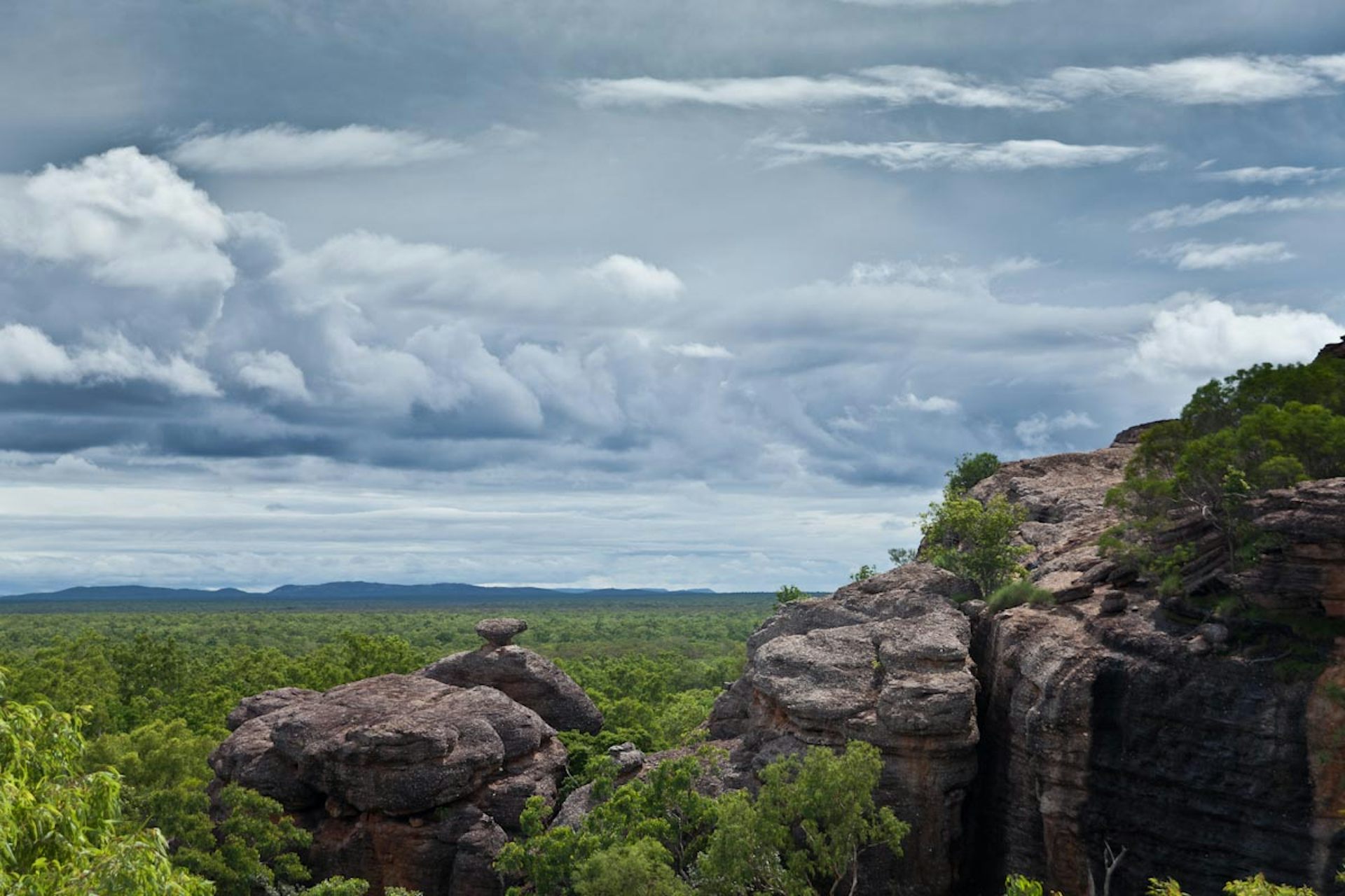 Australia has dedicated more than 20% of its land to conservation but not where it matters most