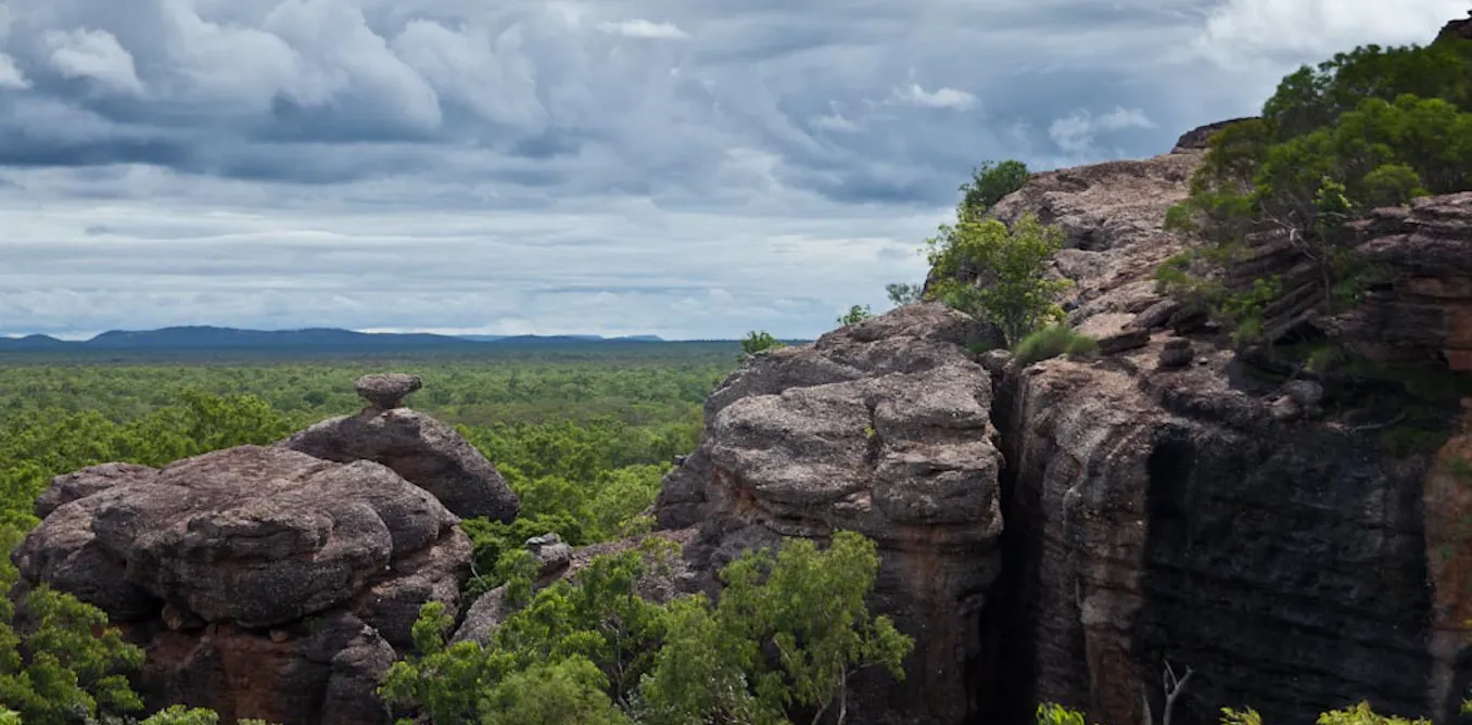 Australia has dedicated more than 20% of its land to conservation but not where it matters most Australia has dedicated more than 20% of its land to conservation but not where it matters most