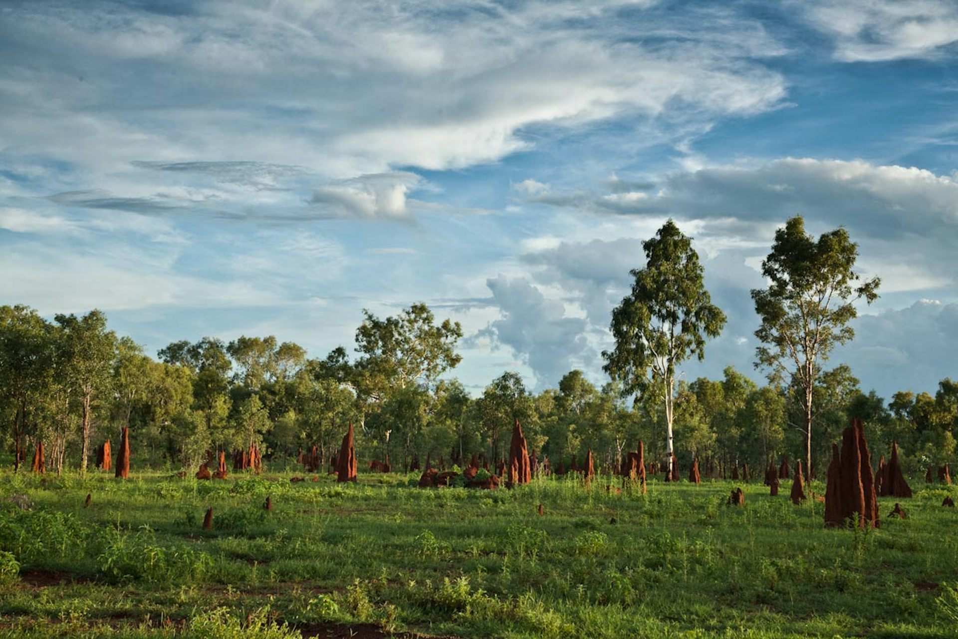 View of a green landscape with multiple rock formations and trees.