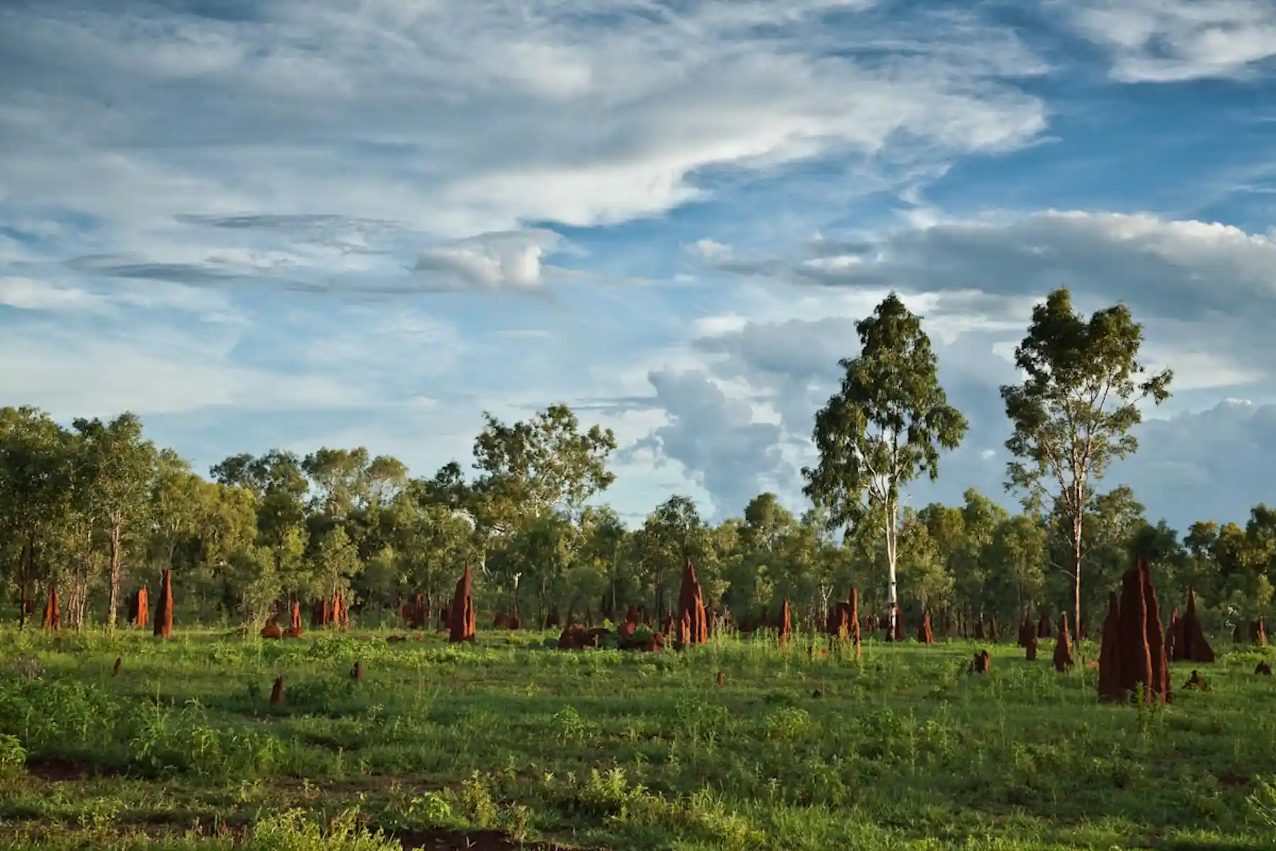 Protect Land Australia has dedicated more than 20% of its land to conservation but ...