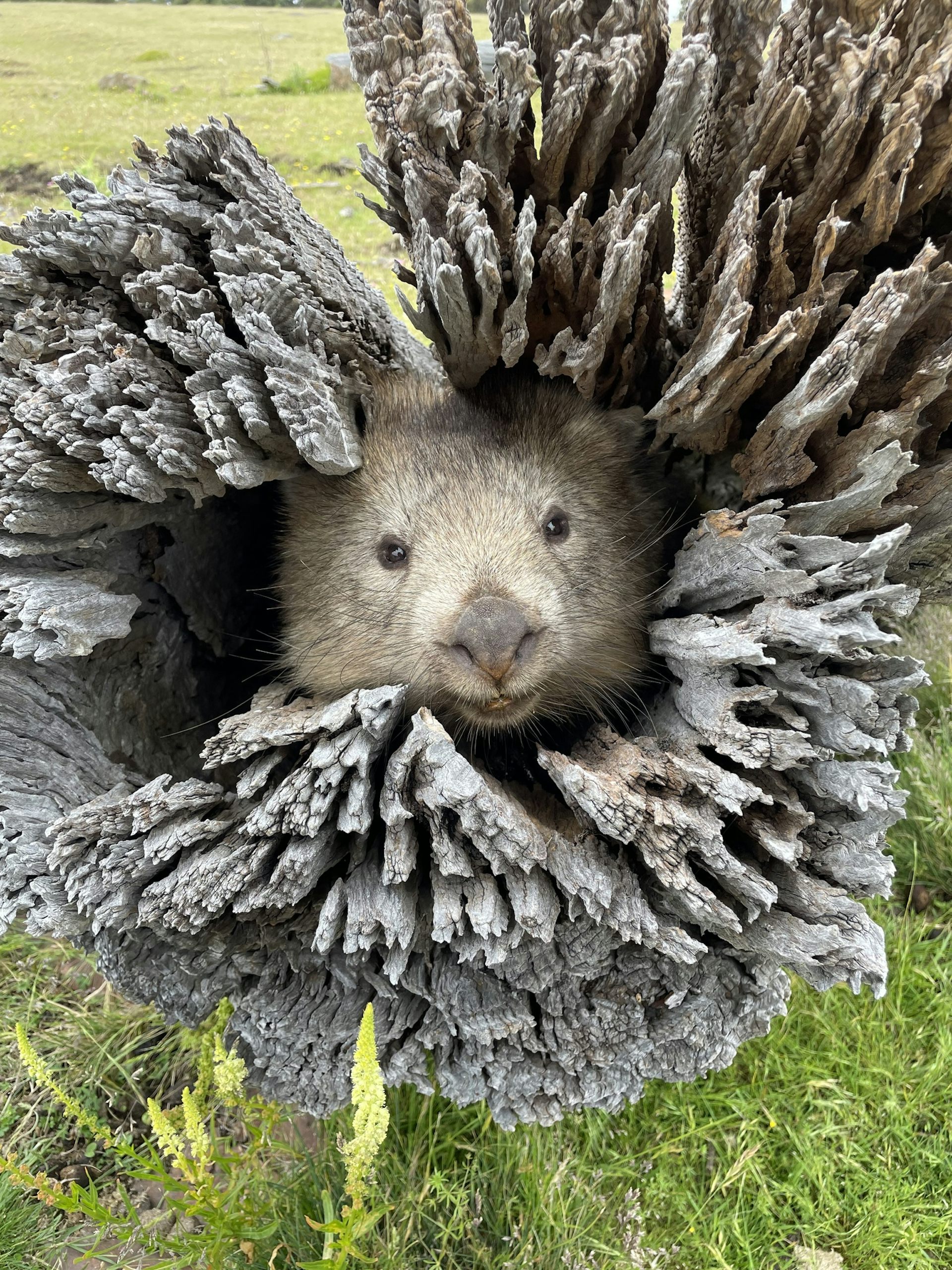 What we’ve learned from citizen science: 5 projects that made a difference