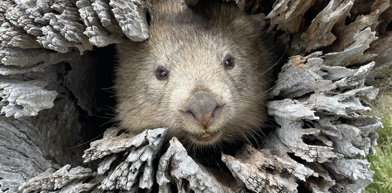 5 Impactful Projects That Changed Lives 5 Impactful Projects That Changed Lives