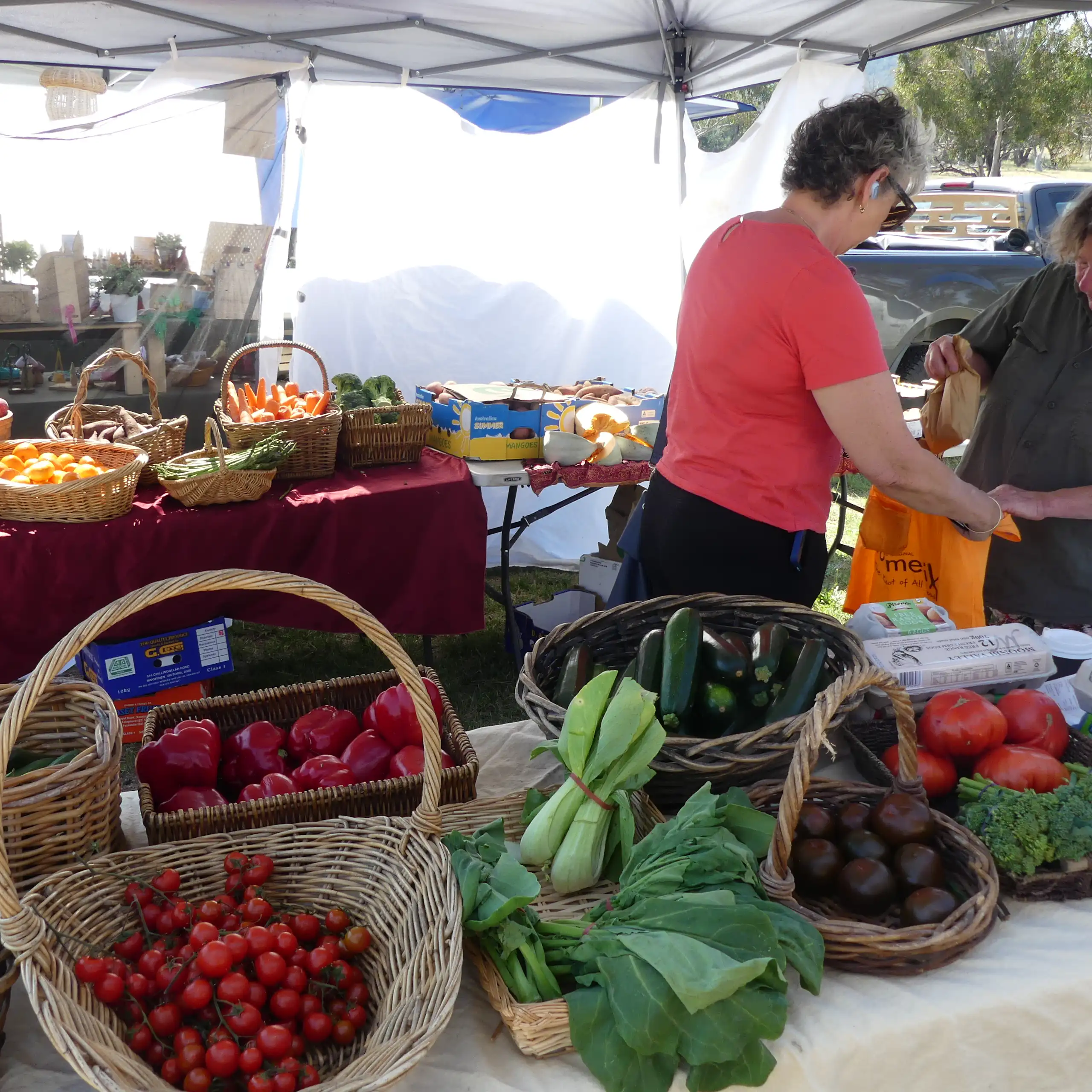 Crowds look at fresh produce, crafts and plants at the Tarana Farmers Market in Tarana, near the Blue Mountains in NSW.