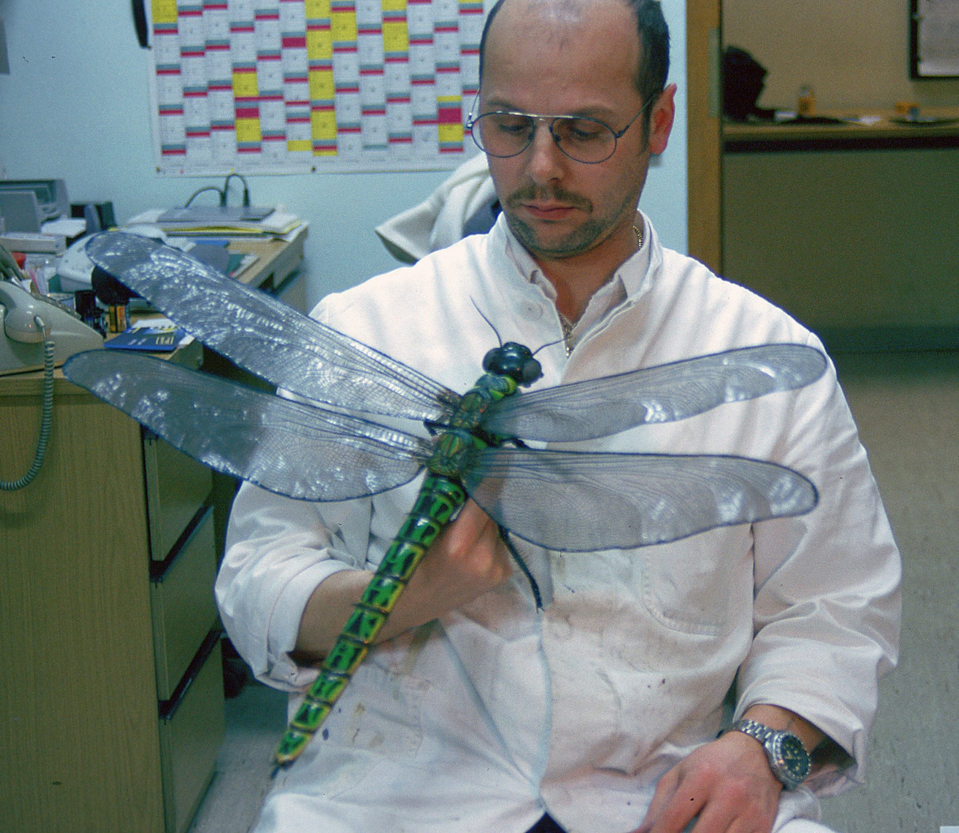 Giant dragonflies once roamed Earth’s skies. New research upends the textbook theory of why they went extinct