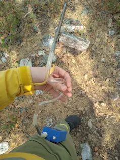 Esta quema prescrita afecta a la calidad del aire y a la salud de los bomberos forestales 1 La mano sostiene un dispositivo compuesto por un cilindro y un tubo de plástico unido a una caja azul.