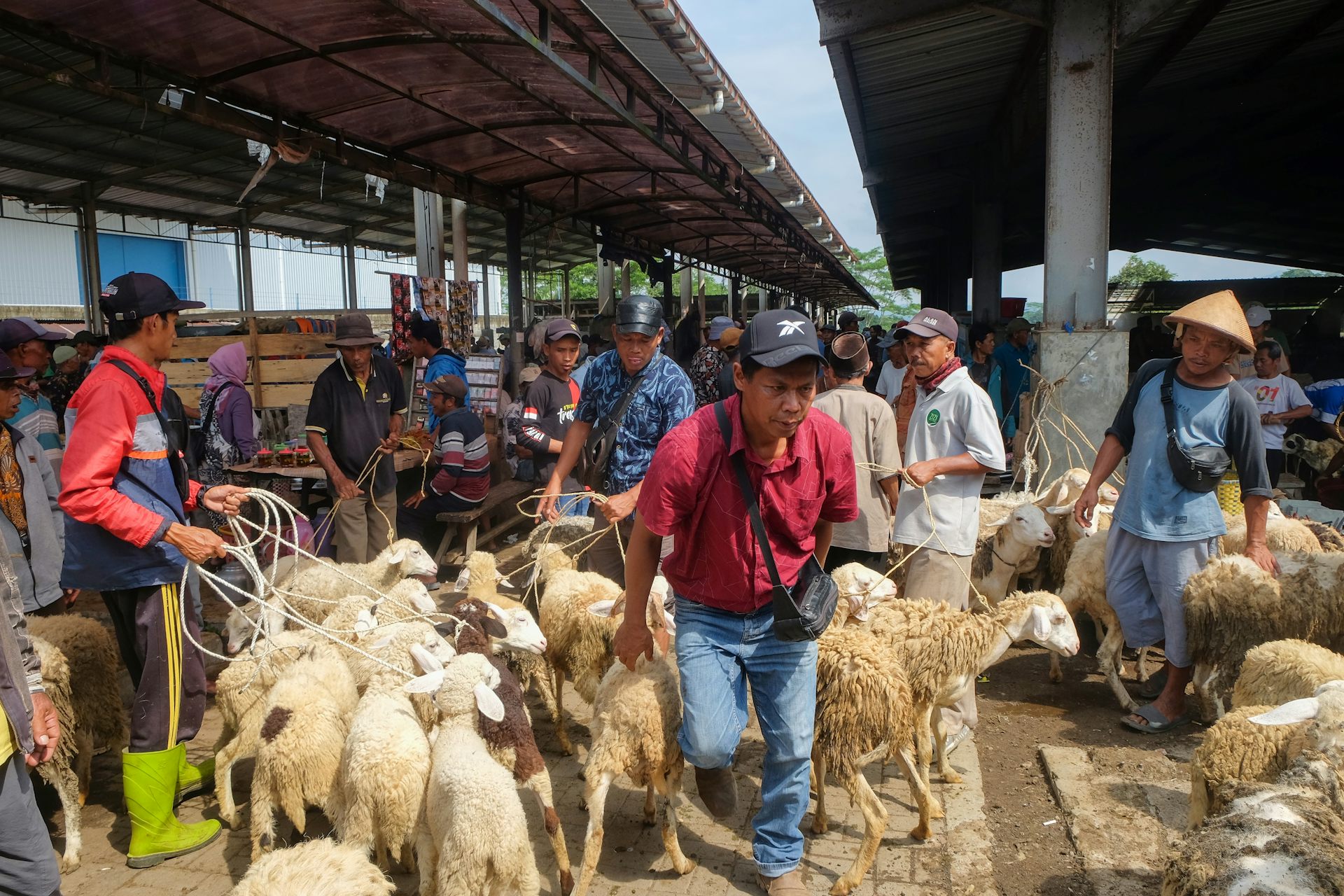 Stabilisasi harga cuma mitos, nyatanya harga daging tetap meroket meski impor sudah dikuasai BUMN