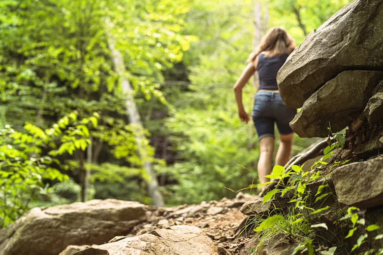 A woman wearing a tank top and shorts is hiking in a very green forest.