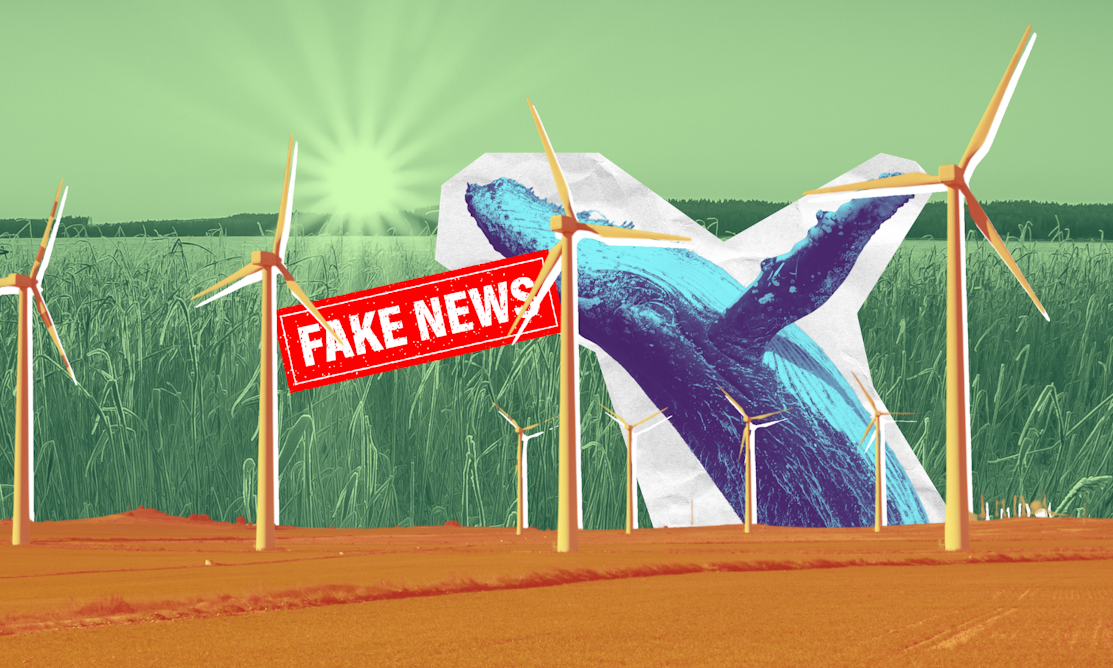 theconversation.com - Christian Downie - Fake news on everything from whales to wind farms: Australia is flooded with climate misinformation