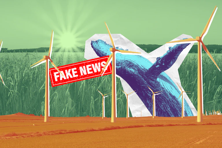 A wind farm and wind turbines with a sunrise in the background and a whale leaping over the horizon