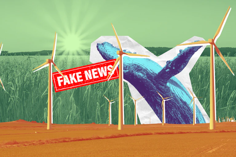 A wind farm and wind turbines with a sunrise in the background and a whale leaping over the horizon