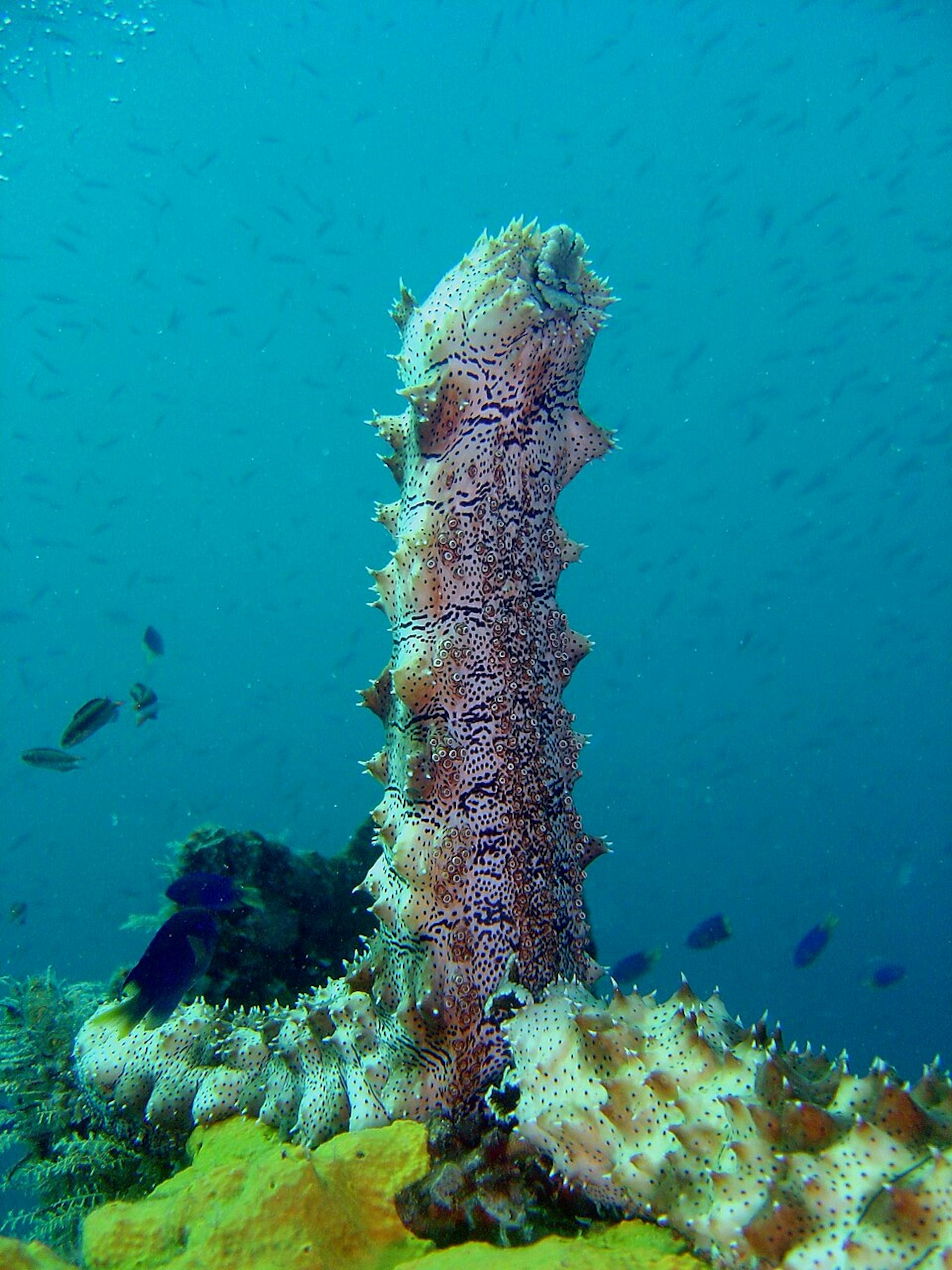 file 20260325 57 u3izb4.jpg?ixlib=rb 4.1