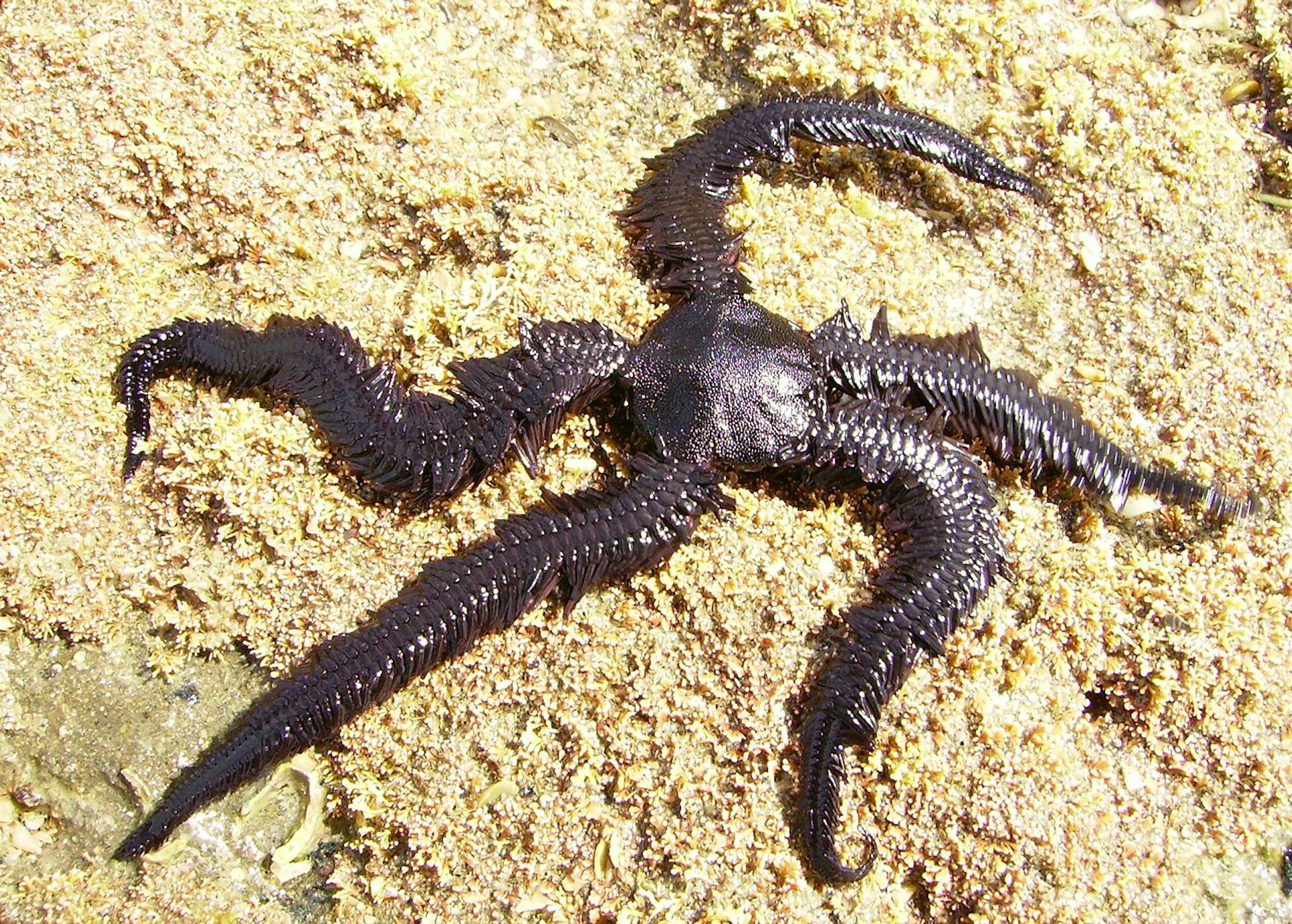 file 20260325 57 9avy0s.JPG?ixlib=rb 4.1