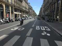 Measuring the invisible: what tree bark tells us about air air pollution in Paris 3 file 20260325 71 a37b5a.jpg?ixlib=rb 4.1