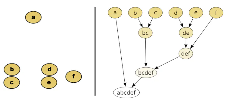 un schéma de dendogramme, ou comment regrouper les données en fonction de la distance qui les sépare