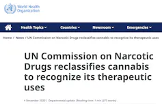 Print da tela da OMS onde se lê: xA Comissão das Nações Unidas sobre Narcóticos reclassifica a cannabis para reconhecer seus usos terapêuticos.