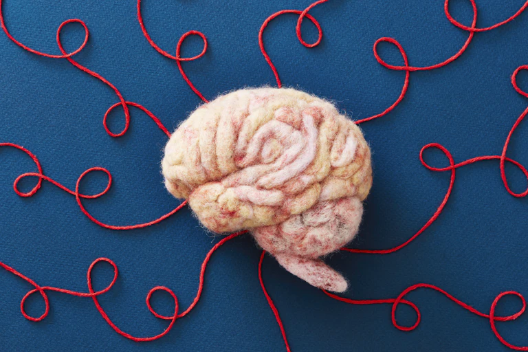 a brain made from wool, with red strings coming from it