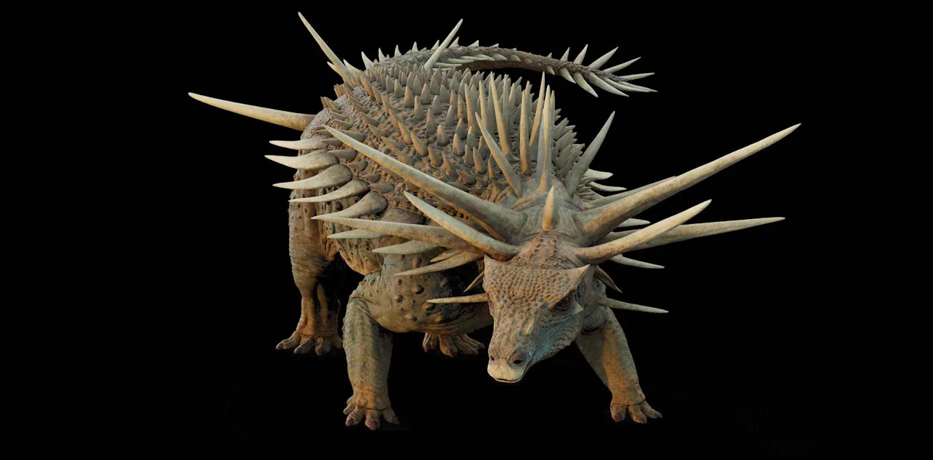 Moroccan dinosaur’s fearsome tail spikes evolved much earlier than we thought – new discovery