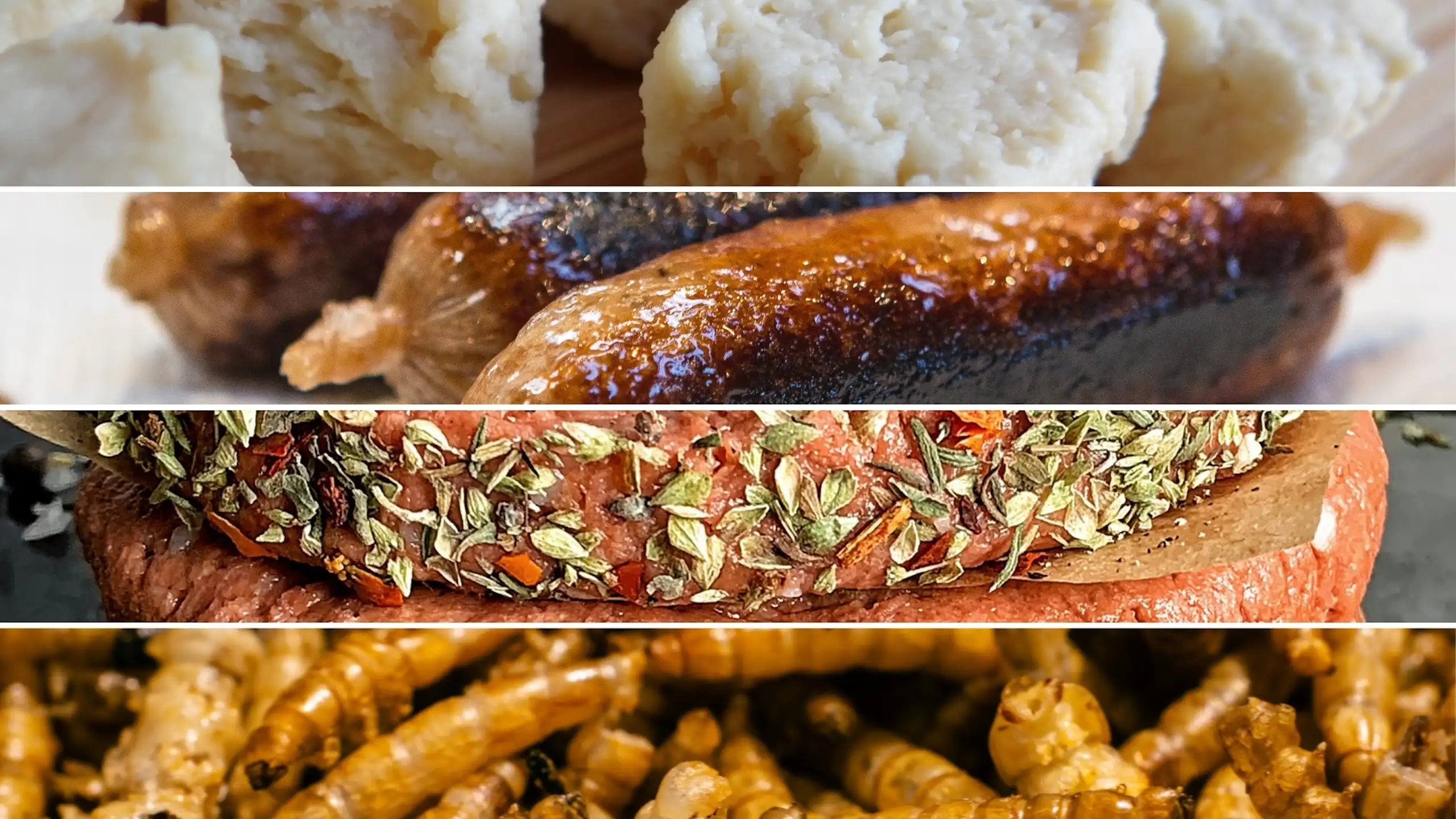 De haut en bas : dés de Quorn (mycoprotéines), viande cultivée, viande végétale, élevage d'insectes.