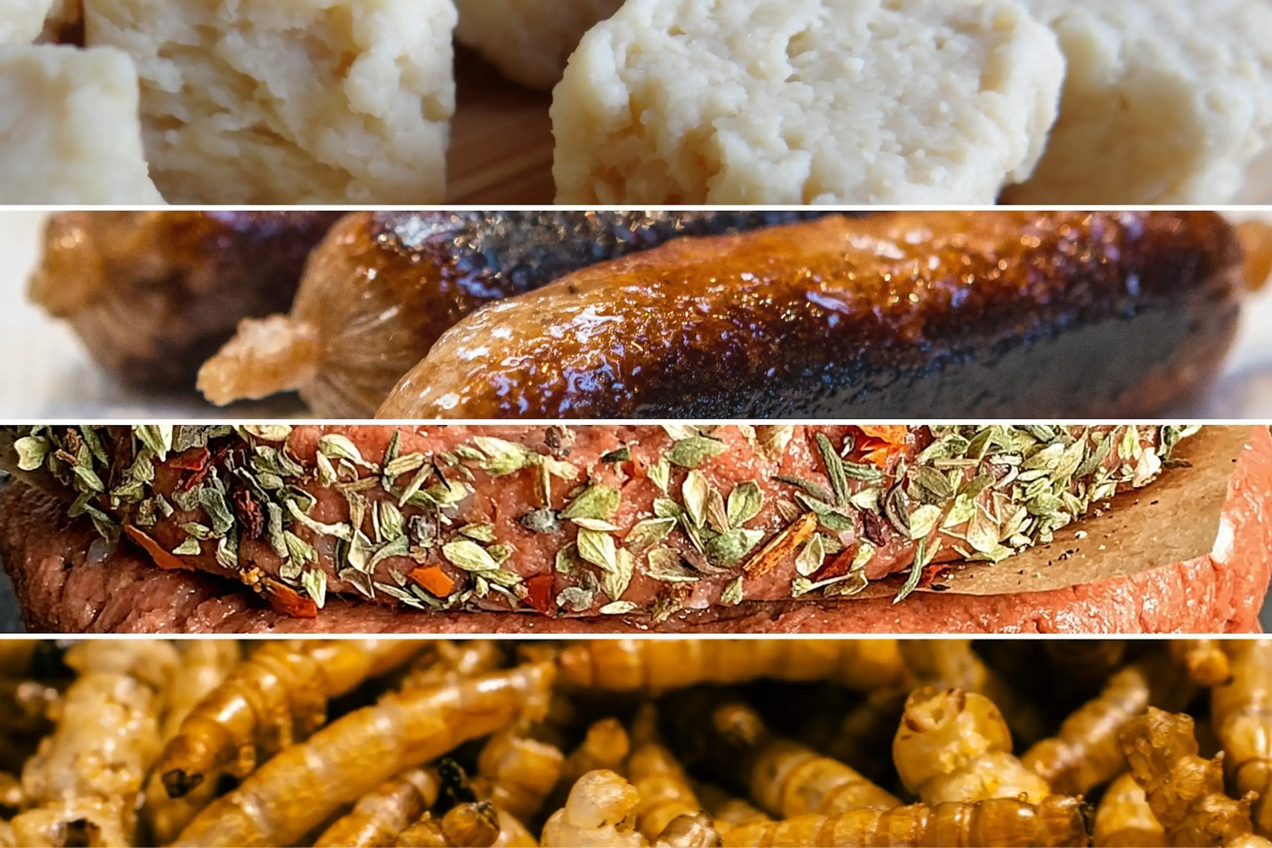 De haut en bas : dés de Quorn (mycoprotéines), viande cultivée, viande végétale, élevage d'insectes.