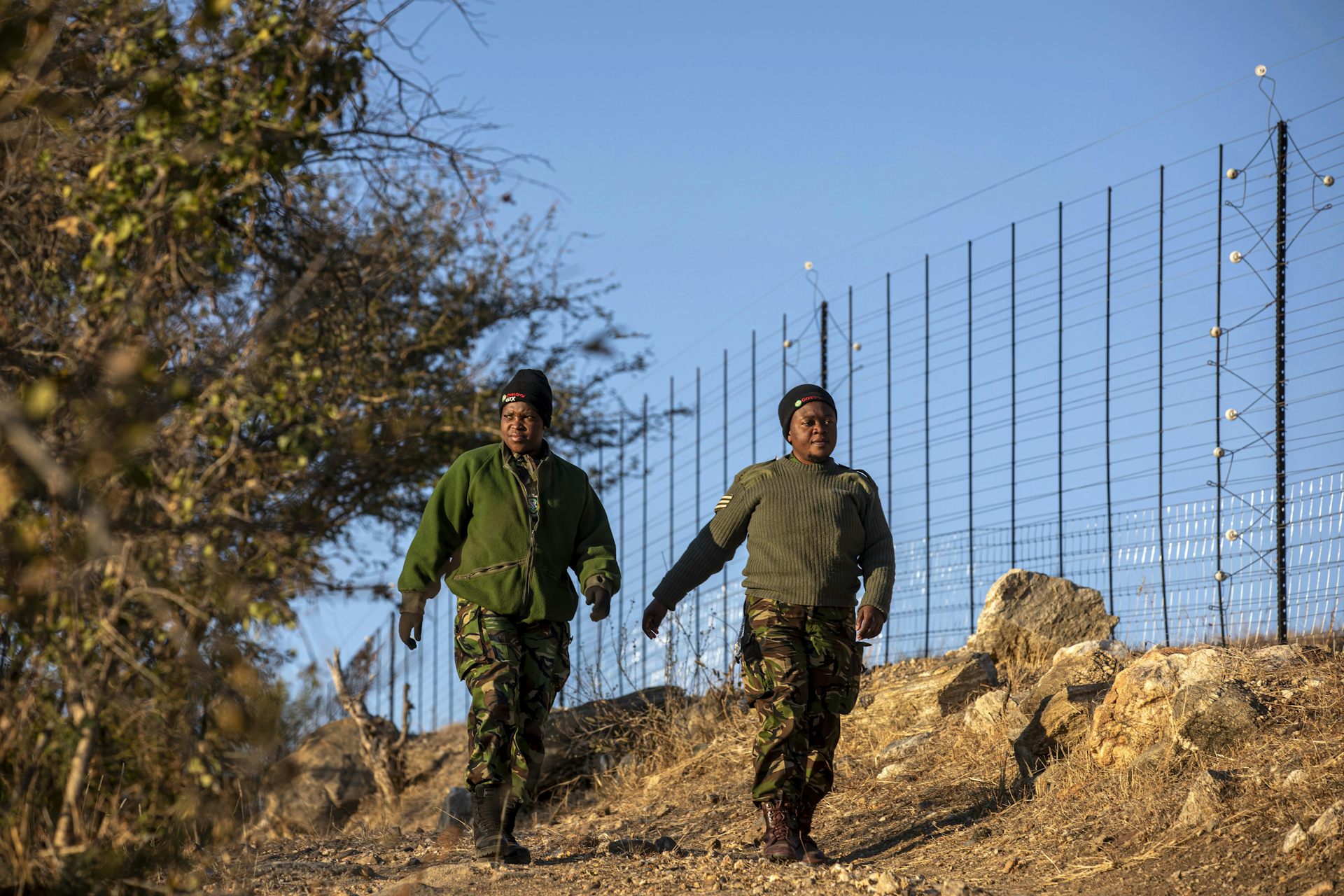 Should wildlife parks be fenced? We studied 60 African examples for an answer