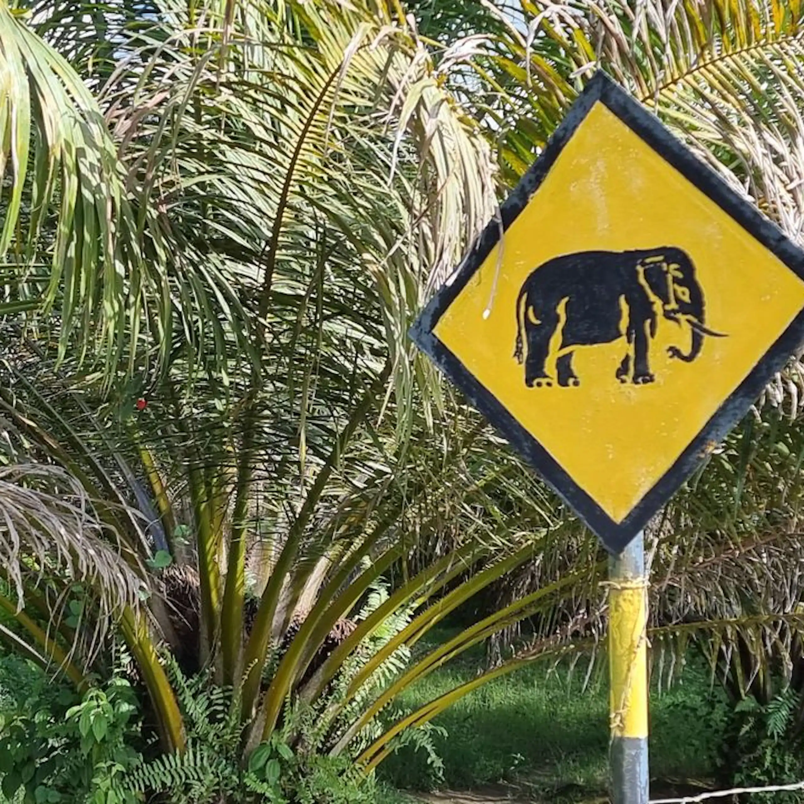 Les travaux d'agroécologie montrent qu'il est possible d'allier rendements et biodiversité.