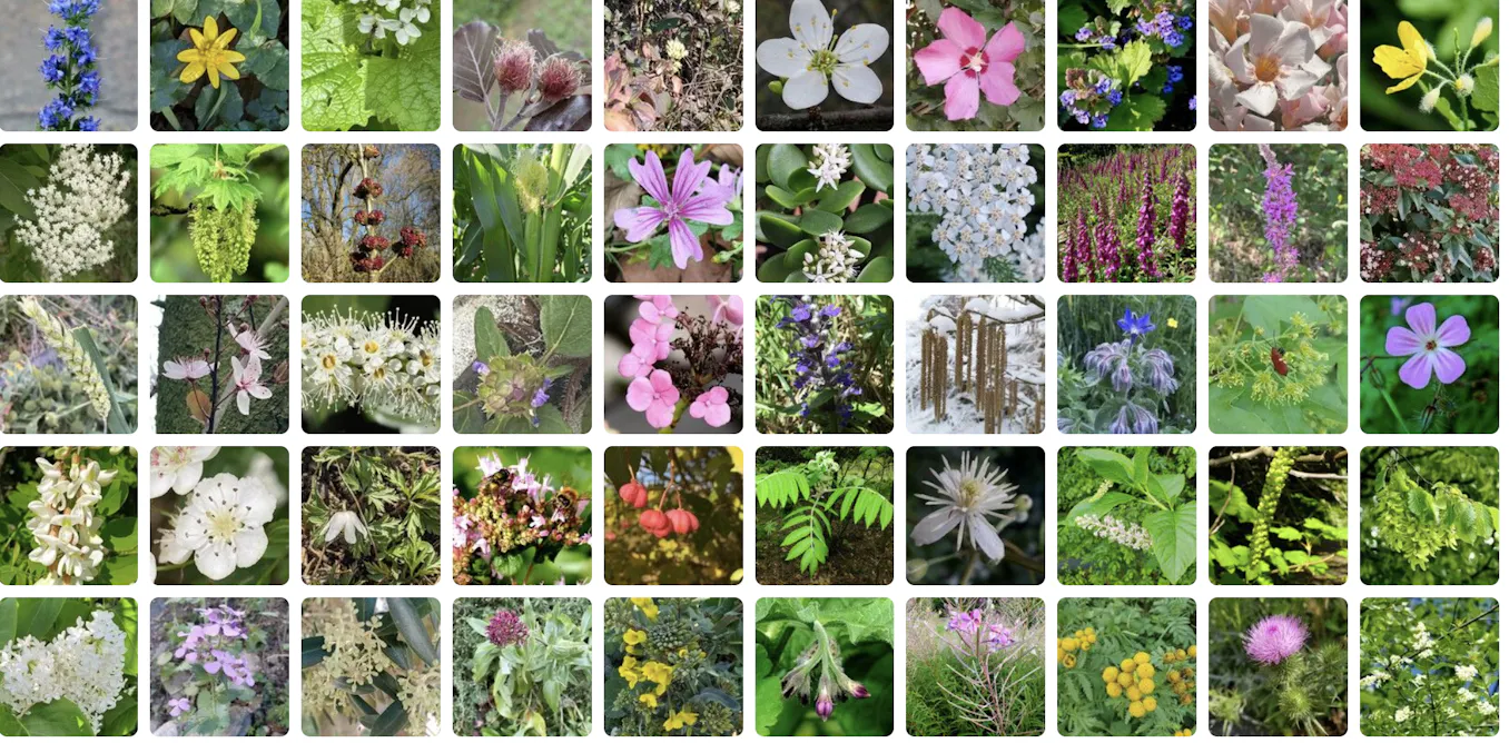 Introducing a new citizen science nature app that’s geared towards the scientific community Introducing a new citizen science nature app that’s geared towards the scientific community