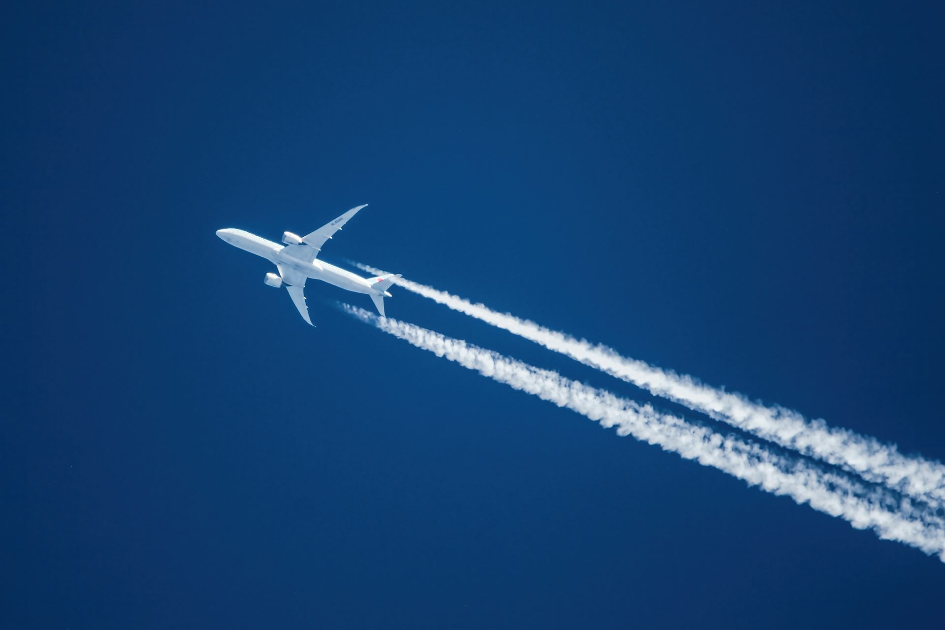 Airlines are facing yet more turbulence. An expert assesses what it will take to survive