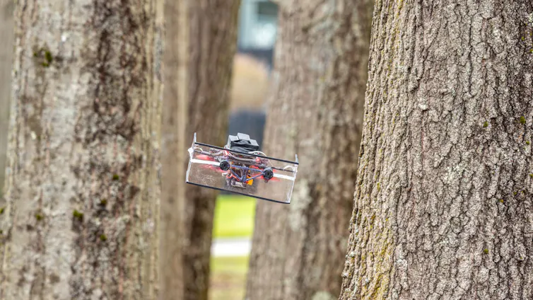 Ultralightweight sonar plus AI lets tiny drones navigate like bats
